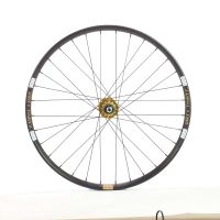 NOA Dirty Thirty Singlespeed Hinterrad gold 10x135mm 24,26 Zoll Baden-Württemberg - Neuler Vorschau