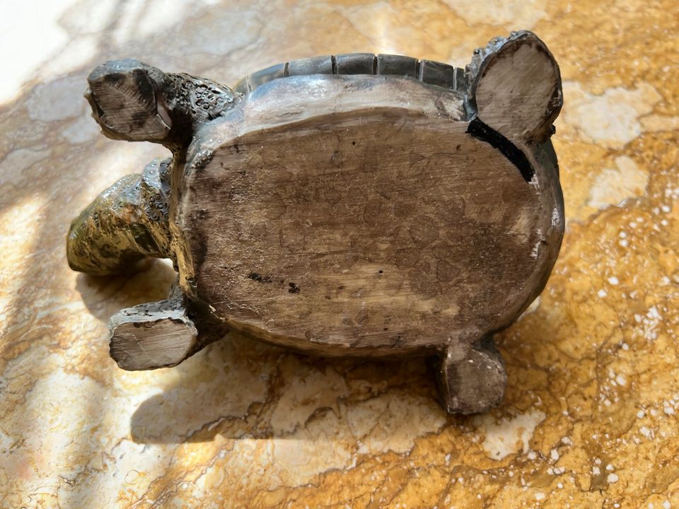 Schildkröte, Dekoschildkröte in Feldkirchen-Westerham