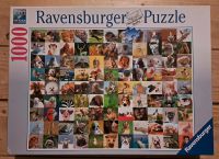 Puzzle -  verschiedene Tiere Niedersachsen - Lemförde Vorschau