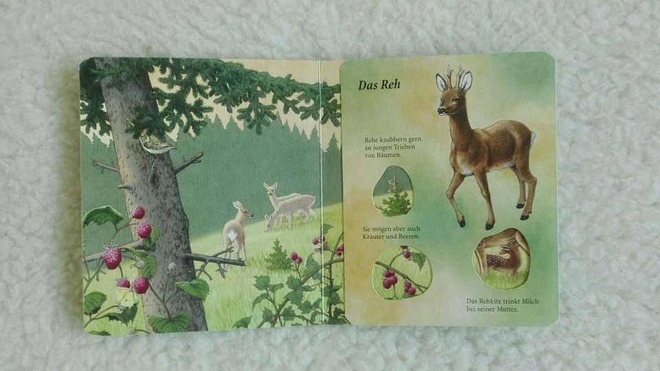 Tiere im Wald / Pappbilderbuch in Freiburg im Breisgau