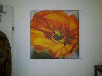 IKEA NISSARYD Wandbild 53x53cm Blume Nordrhein-Westfalen - Kaarst Vorschau