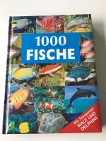 1000 Fische Buch Fische aus aller Welt mit Wale & DElphine Nauman Nordrhein-Westfalen - Borchen Vorschau