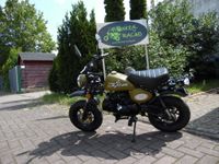 Skyteam Skymini ST125-8 Euro 5 Neufahrzeug, Honda Monkey Replika Niedersachsen - Delmenhorst Vorschau