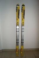 ATOMIC Beta Race 9'14 Slalom-Carving-Ski, 160 cm, Versand möglich Bayern - Mauern Vorschau