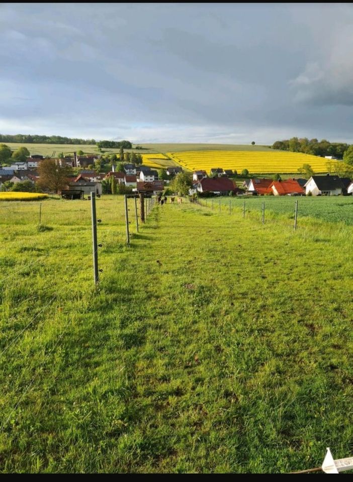 Bebra-OT, Landhaus + Pferdehof in Bebra