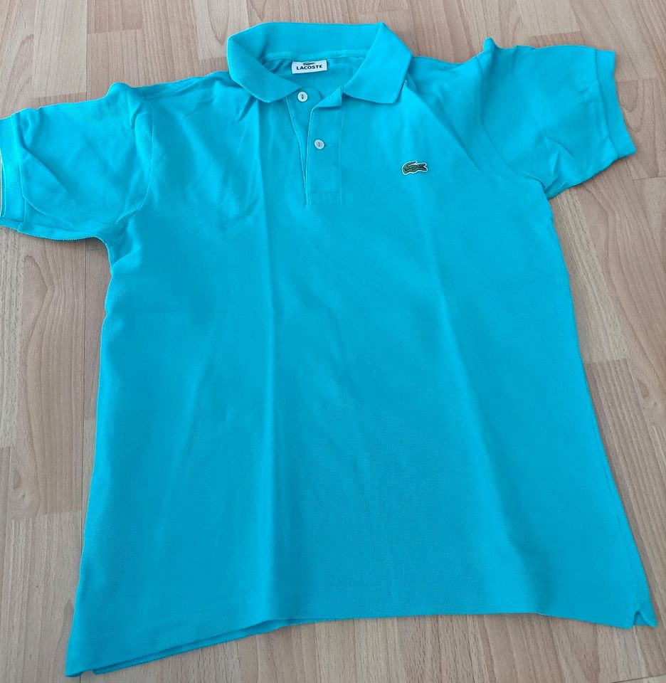 Lacoste Polo Shirt 3/S hellblau in Müden
