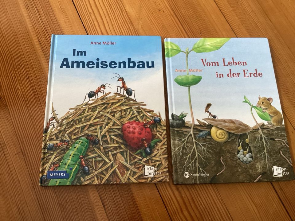 Im Ameisenbau / Vom Leben in der Erde von Anne Möller in Konstanz
