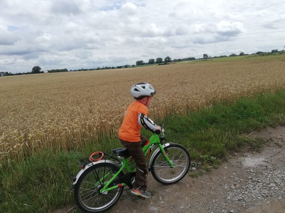 Fahrrad PUKY Crusader 20 Zoll mit Originalrechnung (NP ca 630€) in Kiedrich