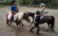 Zwergenreiten geführtes Ponyreiten für die kleinen Kinder Schleswig-Holstein - Reinfeld Vorschau