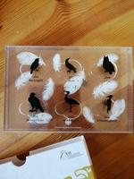 Etui / Münzbox für 20 Euro Golmünzen mehr im Text Rostock - Dierkow Vorschau