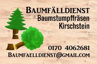Baumfällarbeiten, Baumfällung, Stubbenfräsen, Seilklettertechnik Sachsen - Radebeul Vorschau