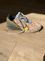 Nike air zoom vapor pro 2 Sandplatzschuhe Größe 44 Niedersachsen - Wedemark Vorschau