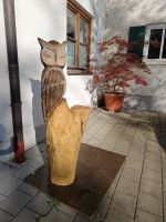 Holzfigur, Eule, Holzeule, Holzskulptur, Blumenampel Bayern - Marktoberdorf Vorschau