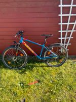 Gut gepflegtes Mountainbike Schleswig-Holstein - Handewitt Vorschau