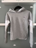 4F Hoodie/Kapuzenpullover grau Gr. 164 (eher Gr. 152/158) Sachsen - Steina Vorschau