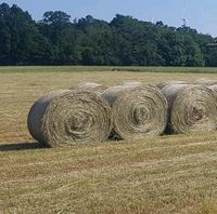 Heu Rundballen Baden-Württemberg - Walldürn Vorschau