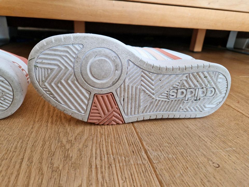 Adidas Sneaker Hoops Gr. 38 in Finsing