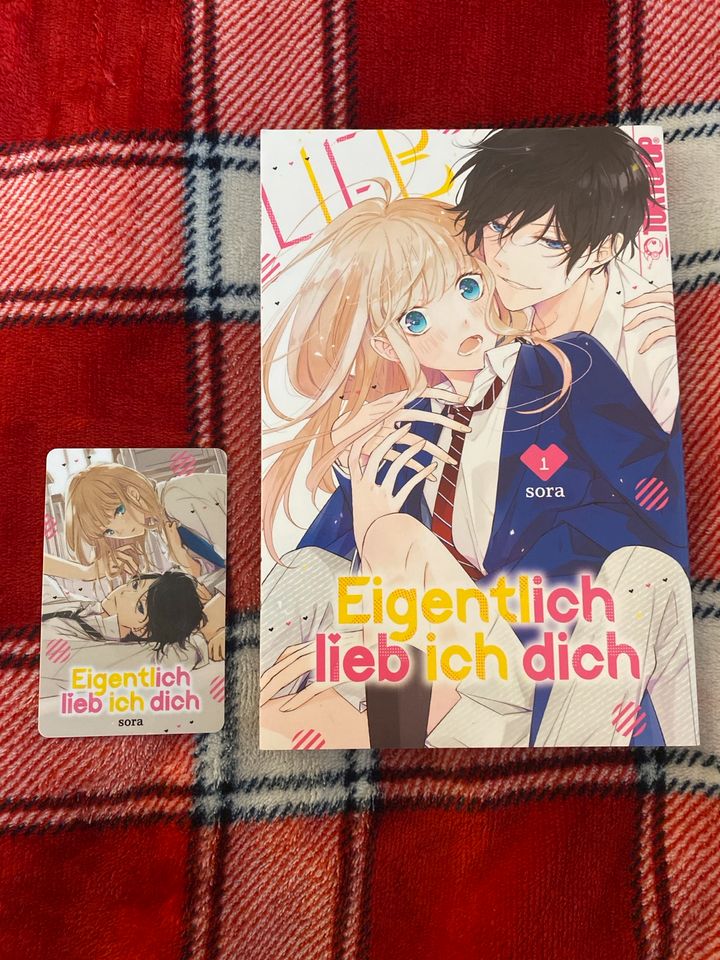 Verschiedene Manga + Sammelzusatz in Leipzig