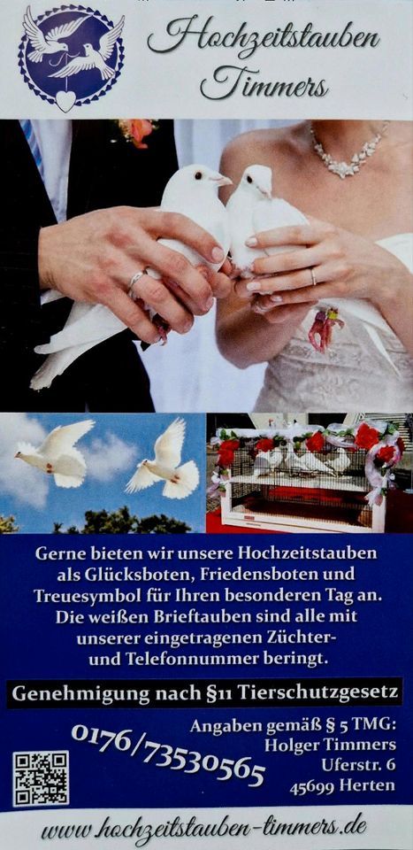 weiße Hochzeitstauben / weisse Tauben Hochzeit in Herten