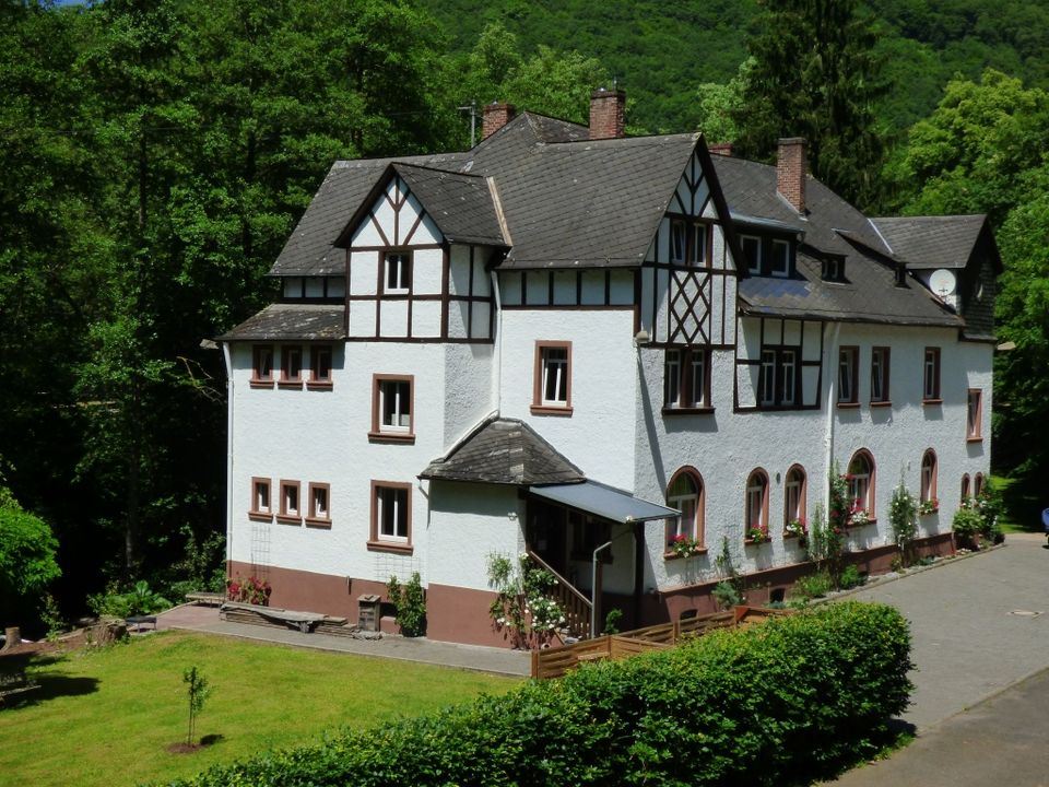 Wald Villa mit 7 Ferienwohnung und Evenlocation in Alf