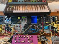 Eurorack Auflösung - diverse Module und Case Rheinland-Pfalz - Kottenheim Vorschau