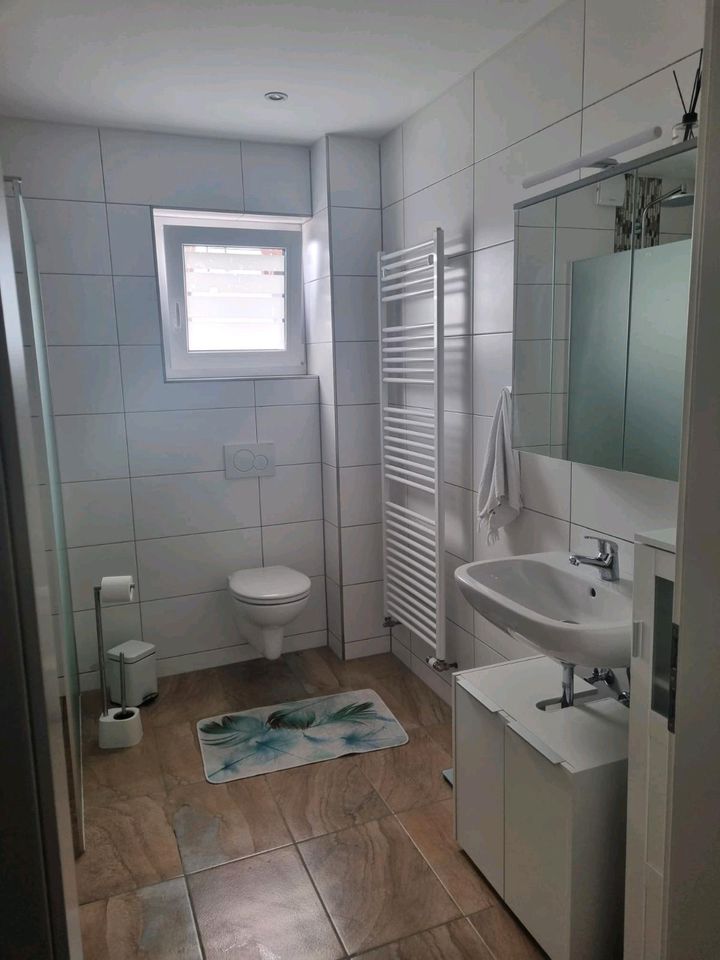 2 Zimmer Wohnung mit Küchenzeile 41 qm Saniert in Frankenthal (Pfalz)