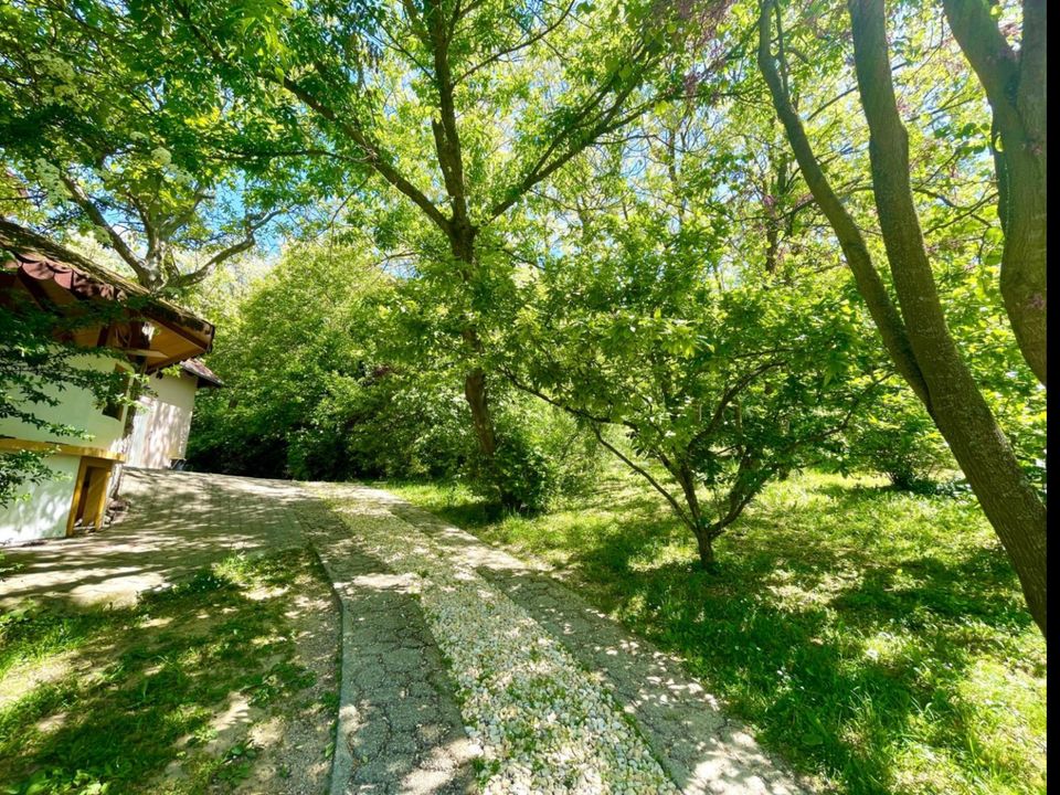 Villa auf 8000 Quadratmeter Grund  in beliebten Ort in Ungarn in Euskirchen