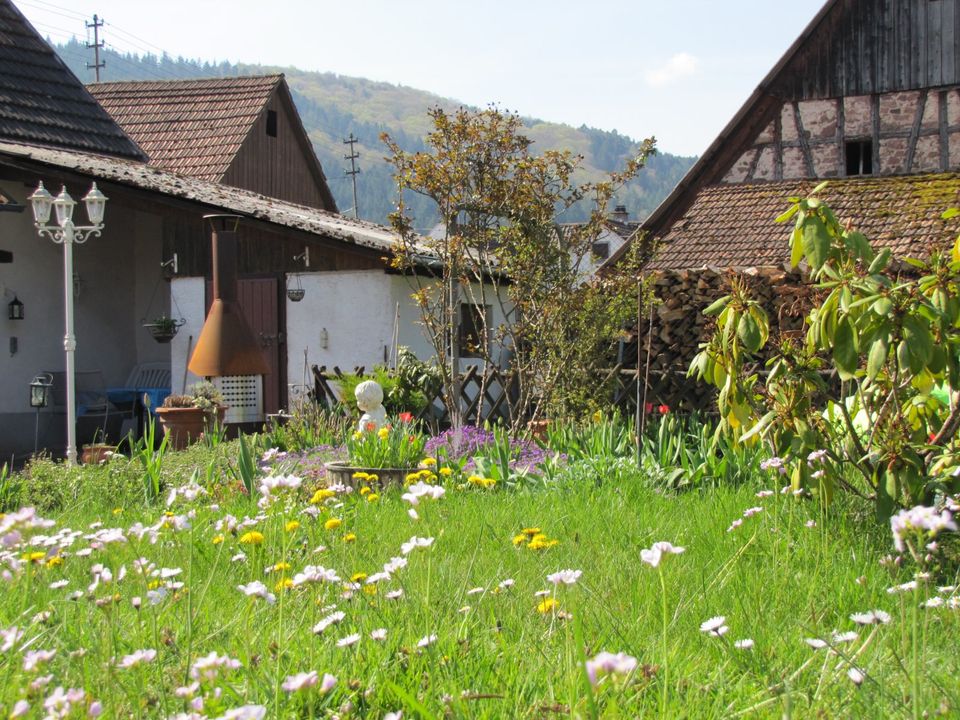 Ferienhaus Ferienwohnung Lahr / Schwarzwald Region Europapark in Lahr (Schwarzwald)