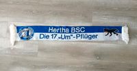 Hertha BSC Schal Berlin - Reinickendorf Vorschau