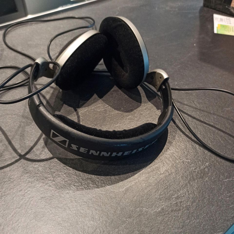 Sennheiser Kopfhörer HD555 in sehr guten Zustand Test Note "gut" in Hennef (Sieg)