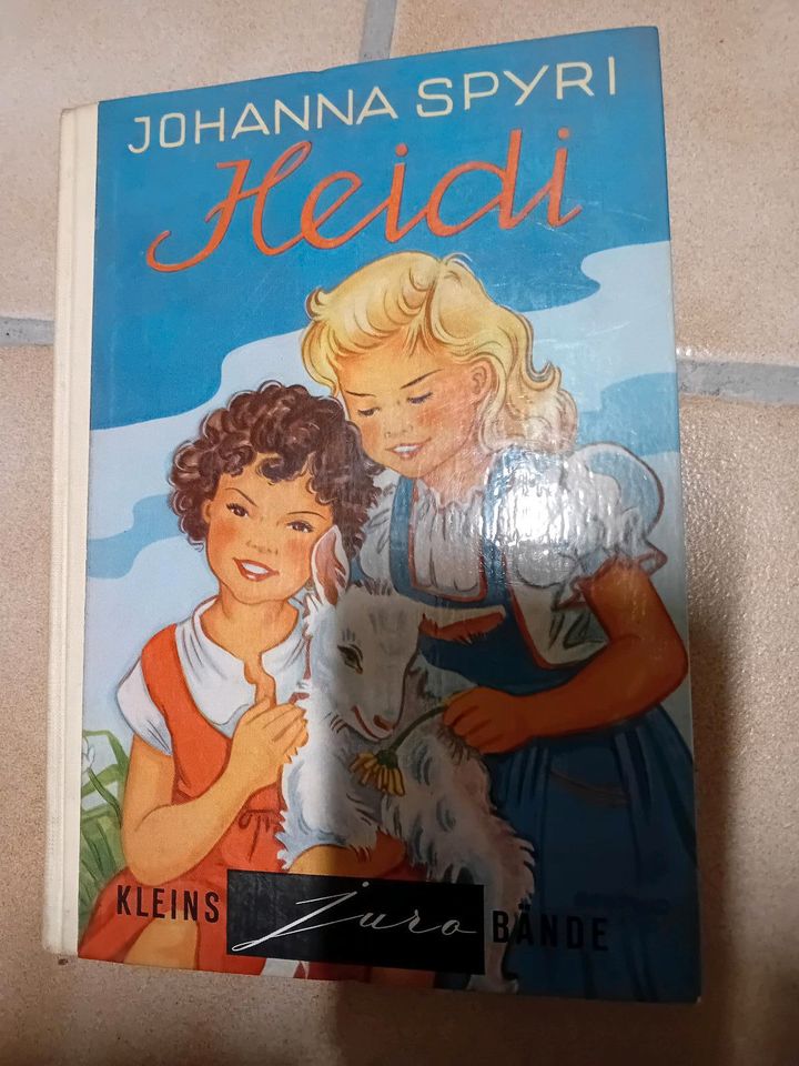 Heidi /Buch Rarität in Salzhemmendorf