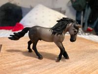 Schleich Hengst Dortmund - Hörde Vorschau