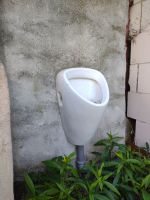 Männer Urinal / Pissoir / WC / Toilette / Klo Hannover - Ahlem-Badenstedt-Davenstedt Vorschau
