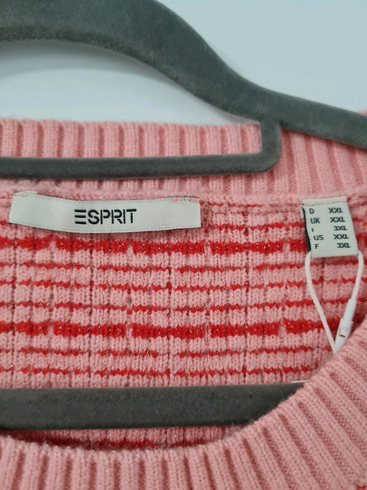 Neu Esprit Pullover Größe XXL in Düsseldorf