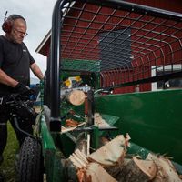 Brennholzspalter Holz>34cm Elektrospakter Holzdräscher 2,2kW Berlin - Wilmersdorf Vorschau