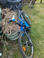 Fahrrad zum verkaufen Bayern - Aschaffenburg Vorschau