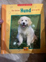 Der kleine Hund wird groß Bayern - Rednitzhembach Vorschau