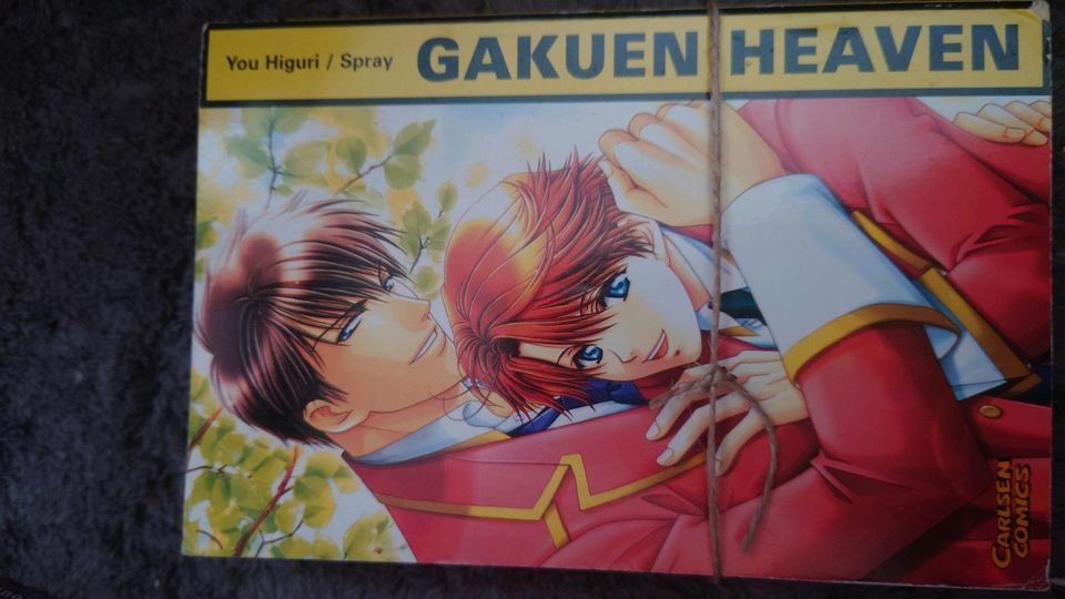 Manga Gakuen Haven Boy's Love - yaoi in Berlin