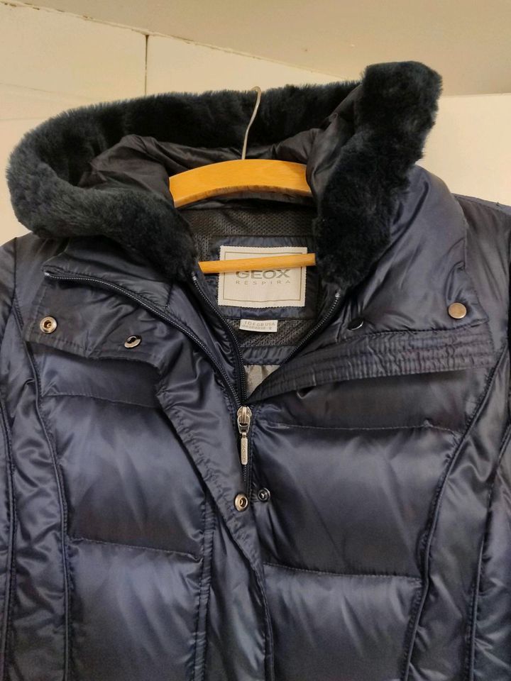 Geox Daunenjacke Winterjacke m 38 blau dunkel Kapuze in Goslar