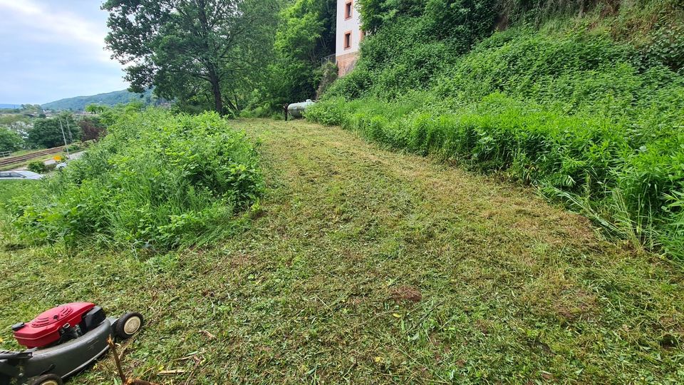 Grünpflege Gartengestaltung Gartenbau Pflaster Hausmeisterdienst in Morbach