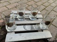4 Wicküler Bier Glas Gläser mit Goldrand Set Sammlung *NEU* Nordrhein-Westfalen - Geldern Vorschau