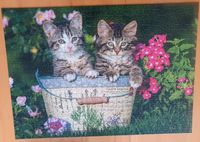 Puzzle Katzen 1000 Teile Kiel - Schreventeich-Hasseldieksdamm Vorschau