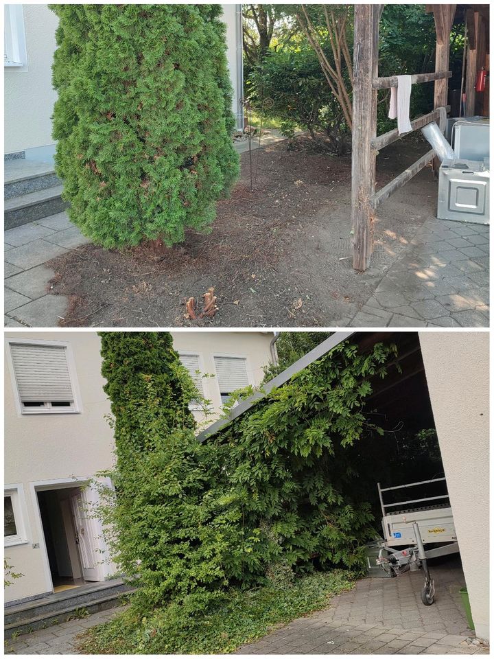 Gartenpflege in Ingolstadt