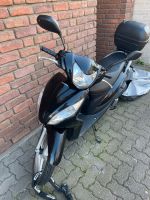 Roller Honda AF73 Nordrhein-Westfalen - Hille Vorschau