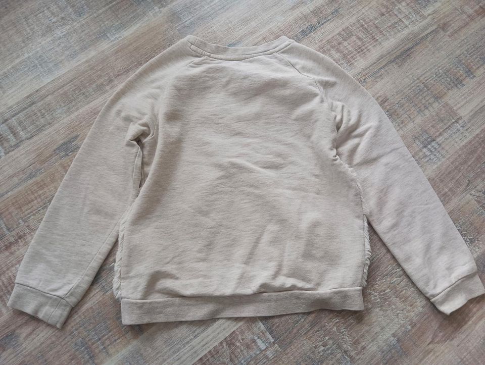 Pullover Größe 110 116 H&M Zara Sweater in Reichertshofen