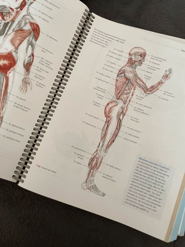 Die Fachwelt Anatomie Trailerguide Arbeitsbuch in Oederan