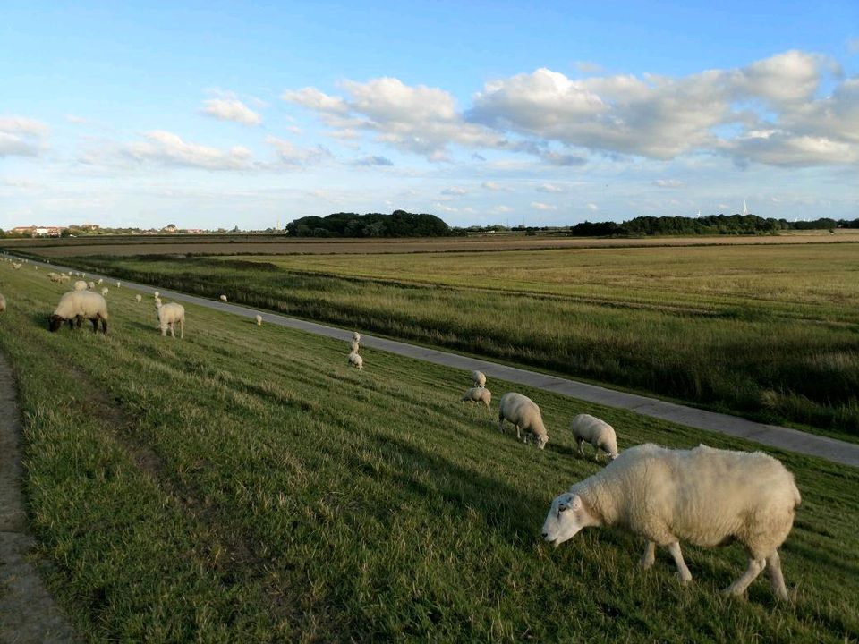 Ferienwohnung - Auszeit an der Nordsee in Wangerland