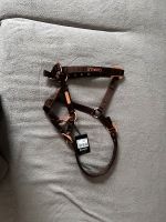 Halfter Cavallo WB  Neu! Nordrhein-Westfalen - Minden Vorschau