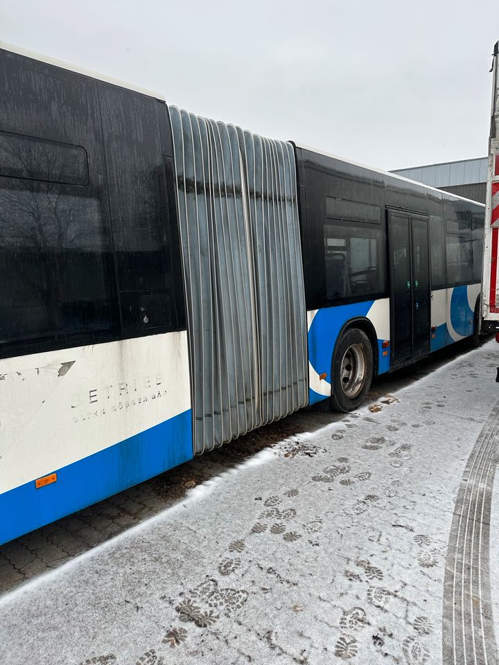 Linienbus MAN NG353 in Eching (Kr Freising)