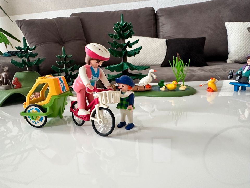 Playmobil Wald, Skateboard, Ententeich in Lüdenscheid